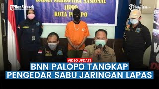 Pengedar Narkoba Jaringan Lapas Bollangi Ditangkap BNN Palopo