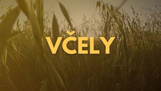 Včely - Jak se dělá smetnec + kontrola včelstva