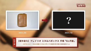 【シリーズ】ブレイリオの手帳の経年変化「ミネルバボックス 」購入約6ヶ月後(半年後) | Brelio Minerva box M5 Organizer ZIP