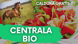 Caldura Gratis FREE Iarna ? |  Centrala Termica BIO  pe Compost sau BIOReactorul