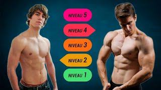 De Débutant à Élite en Muscu (Guide Naturel Complet)