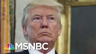 President Donald Trump Fires Back At Steve Bannon: He ‘Lost His Mind’ After Losing Job | MSNBC
