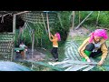 Mother and daughter used forest leaves to weave a leaf fence to repair their small hut.