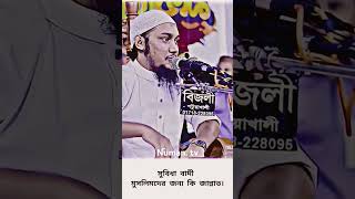 # সবিধা বাদী মুসলিমদের জন্য কি জান্নাত?। #abu_toha_muhammad_adnan islami story