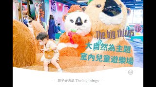 ［親子好去處］-The big things (荃灣) 大自然為主題的室內兒童遊樂場