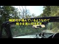 大紀南島林道（＋木屋村山林道）nbロードスター