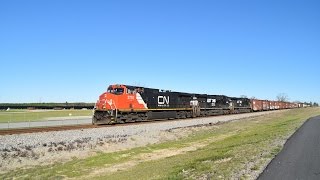 Pacing NS 137 with CN noodle