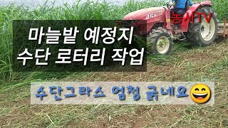 마늘재배-마늘밭 예정지 수단그라스 로터리작업 하기 [농사TV]