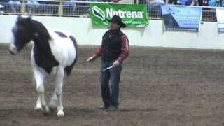 Horse Expo 2011