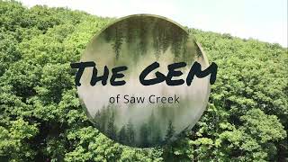 The Gem of Saw Creek is a 82+ acre parcel of land within the Saw Creek gates that is for sale.