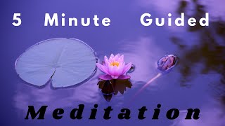 5 Minute Guided Meditation || Powerful Stress Relief || MEDITATION ARK