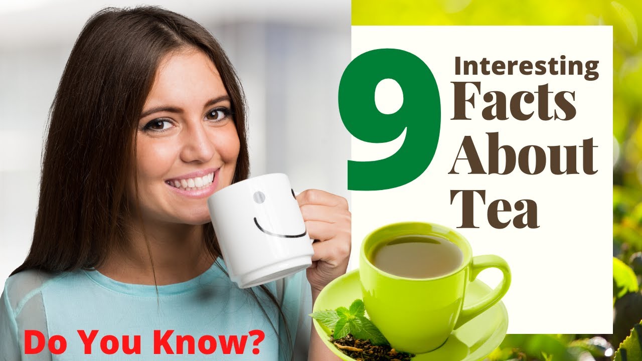 9 Interesting Facts About Tea! Do You Know? - YouTube