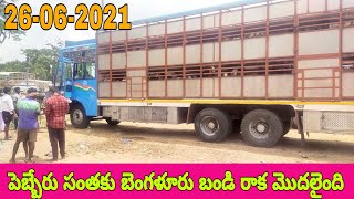 పెబ్బేరు గొర్రెల శనివారం సంత~pebbair sheep market~sheep market~sheep and goat market~pebbair santha