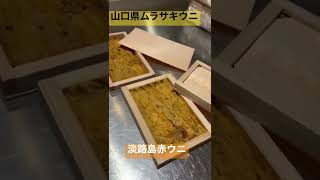 (鮨やまざき)2種類のウニ食べ比べ#江戸前鮨