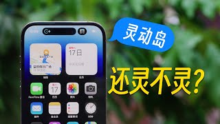 【iPhone 14 Pro】时隔小半年，灵动岛还灵不灵？