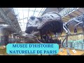 LE MUSEE NATIONAL D'HISTOIRE NATURELLE DE PARIS