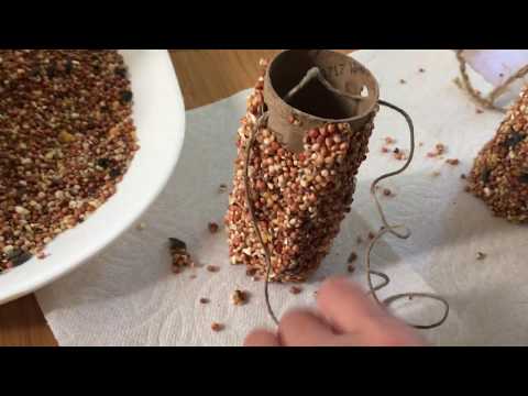 DIY TP Tube Bird Feeder DIY TP Tube Bird Feeder