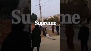 万物皆可supreme