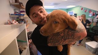 Olympian Gus Kenworthy Adopts Korea Meat Dog