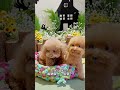 今天去万圣节party 可爱 cute dogs toypoodle halloween