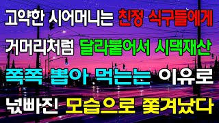 [읽어드림] 고약한 시어머니는 친정 식구들에게 거머리처럼 달라붙어서 시댁재산 쪽쪽 뽑아 먹는는 이유로 넋빠진 모습으로 쫓겨났다 ...네이트판ㅣ레전드썰ㅣ사이다썰