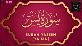 Surah Yasin سورة يس - Rashid Mishary Alafasy