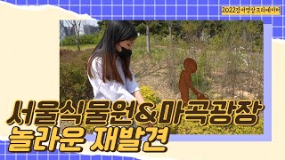 [지금은 강서시대!] 서울식물원\u0026마곡광장 놀라운 재발견