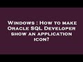 Windows : How to make Oracle SQL Developer show an application icon?