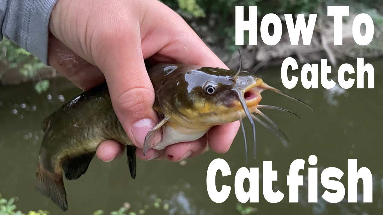 The EASIEST Way To Catch TONS Of Catfish! (How To Catch Catfish) - YouTube