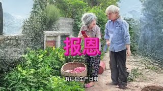 报恩 #视频纯属娱乐请勿模仿 #纯属娱乐无不良引导