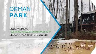 Sakarya Reklam Filmi | Sakarya Reklam Ajansı | Orman Park Sosyal Medya Filmi I 2D Animasyon