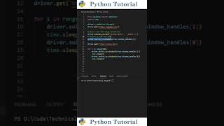 Create/Switch Tabs With Selenium | Python Tutorial