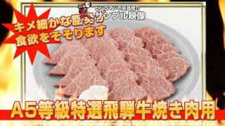 A5等級特選飛騨牛焼き肉用 　【結婚式二次会/忘年会/ビンゴ大会～景品紹介映像～】