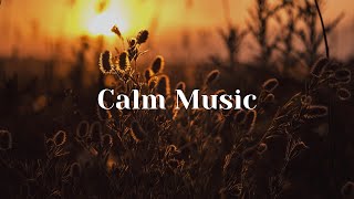 Deep Sleep Music 24/7, Calming Music, Insomnia, Sleep, Relaxing Music, Study, Sleep Meditation