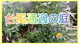 　《初心者ガーデナーの庭造り》　～台風通過の庭　まさか…な被害～