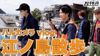 メンバーvlog！ 江ノ島の”江ノ島”散歩♪【超特急の超旅】