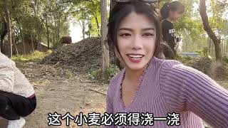 这老公真欠揍，回到丈母娘家就告媳妇状，结果媳妇被丈母娘追着揍