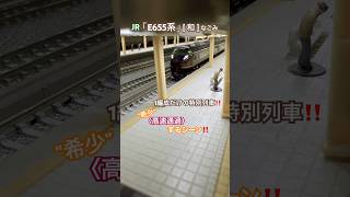 [特別列車 通過‼︎] 1編成だけの豪華列車JR E655系(なごみ[和])が駅を通過するシーン‼︎ #nゲージ #e655系  #jr東日本 #グリーン車 #特急 #kato #団体列車 #通過