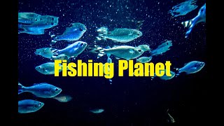 【Fishing Planet】steamで無料の謎の釣りゲー