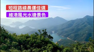 香港行山：2020 12 05 渣甸山畢拿山大潭水塘短程晨運Hong Kong Hiking Jardine's Lookout Mount Butler Tai Tam Reservoir