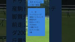 2024エルムS　この馬で勝負　コメント欄といえども、買い目を出すのも精神的に結構きついな！#shorts#エルムS #競馬