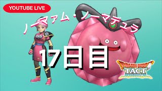 【ドラクエタクト】ドラタク食堂ランチ放送173回目