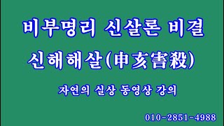 100 신해해살申亥害殺, 비부명리 신살론