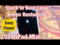 2021 iPad Mini: Stuck in Boot Loop? Constantly Keeps Restarting? Easy Fixes!