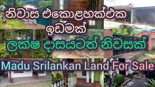 ලක්ෂ 16ටත් නිවසක් හා නිවාස 11ක් එක ඉඩමක්