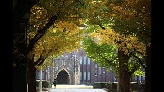 Autumn Leaves2018  The University of Tokyo ４ｋ「銀杏並木」東京大学