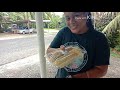 street foods in pohnpei micronesia jbvlogs 14 street foods pohnpei ofw micronesia