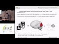 chaotic time series prediction and attractor reconstruction using machine learning