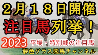 【注目馬列挙・平場予想】2023年2月18日JRA平場特別戦！先週は12頭中6頭が馬券内！阪神・小倉は雨が降りそうで馬場確認大事