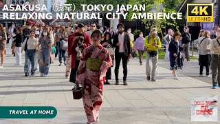 4k hdr japan travel | Walk in Asakusa（浅草）Tokyo japan |  Relaxing Natural City ambience